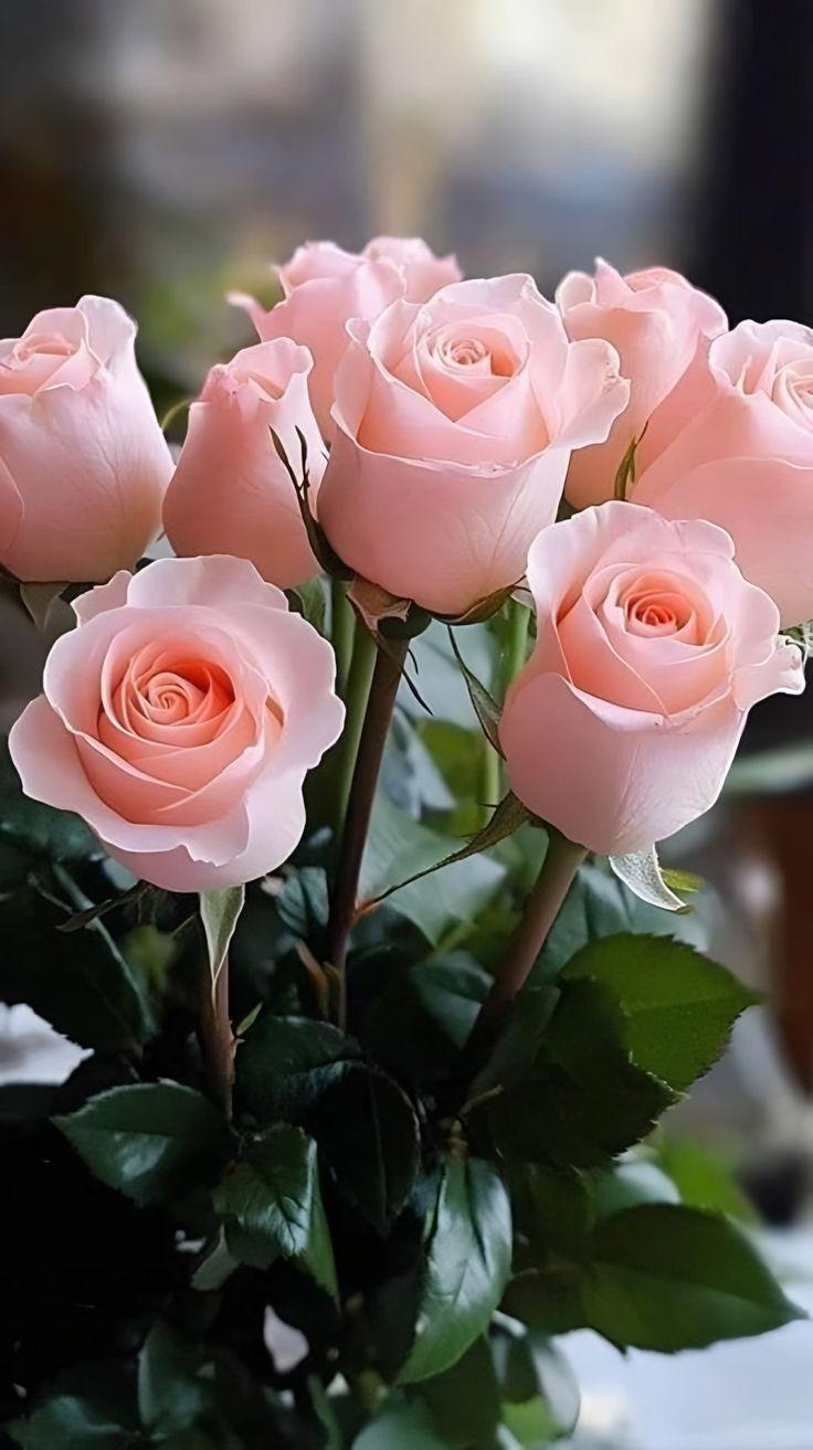 Sunrise Embrace: Warmth in Floral Harmony